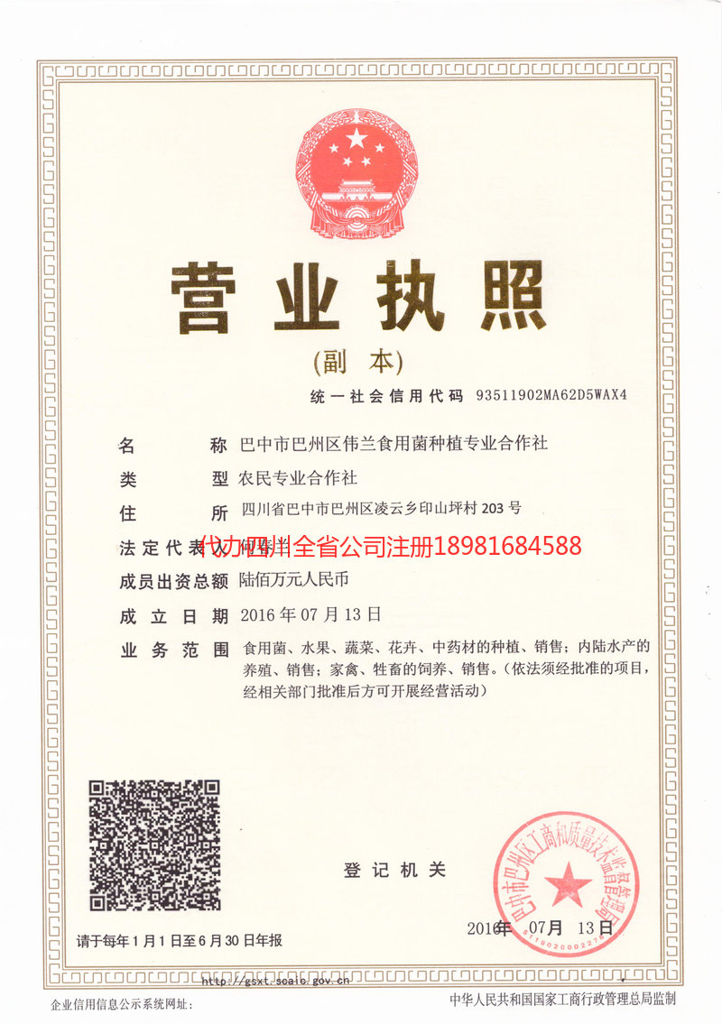 巴彦淖尔巴彦淖尔伟兰食用菌种植专业合作社